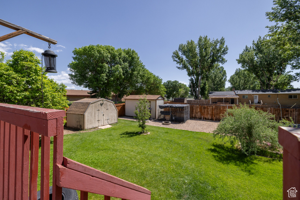 View of yard