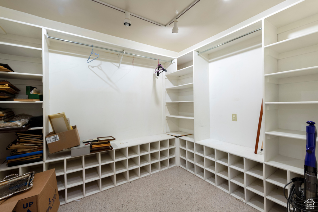 Spacious closet with carpet flooring