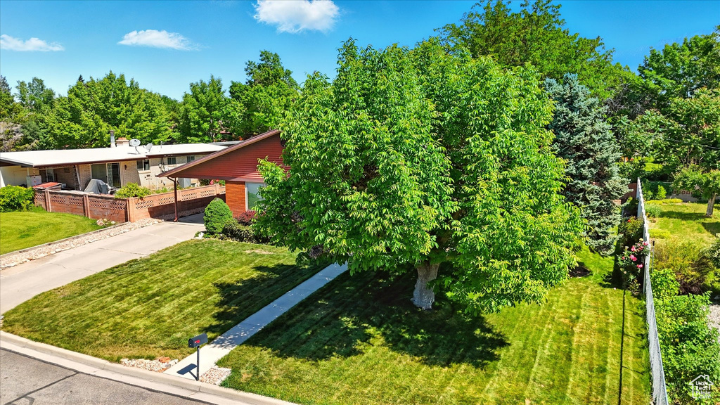View of front of home with driveway, brick siding, and an attached carport