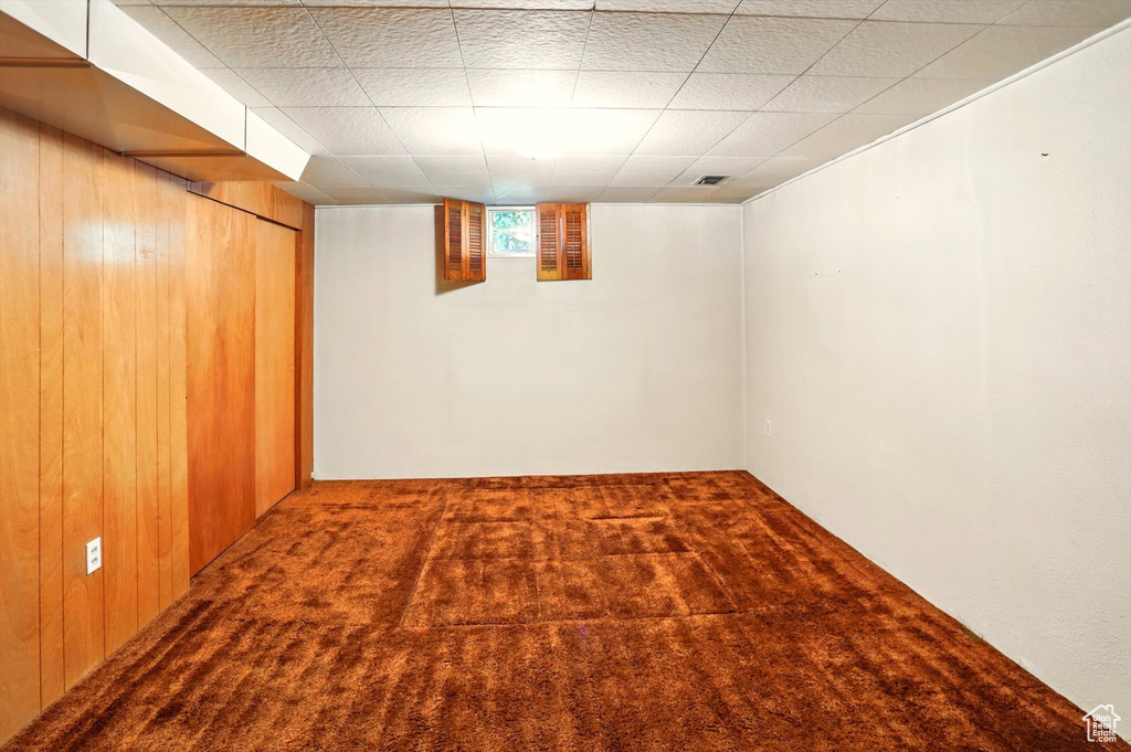 Basement featuring carpet and wood walls
