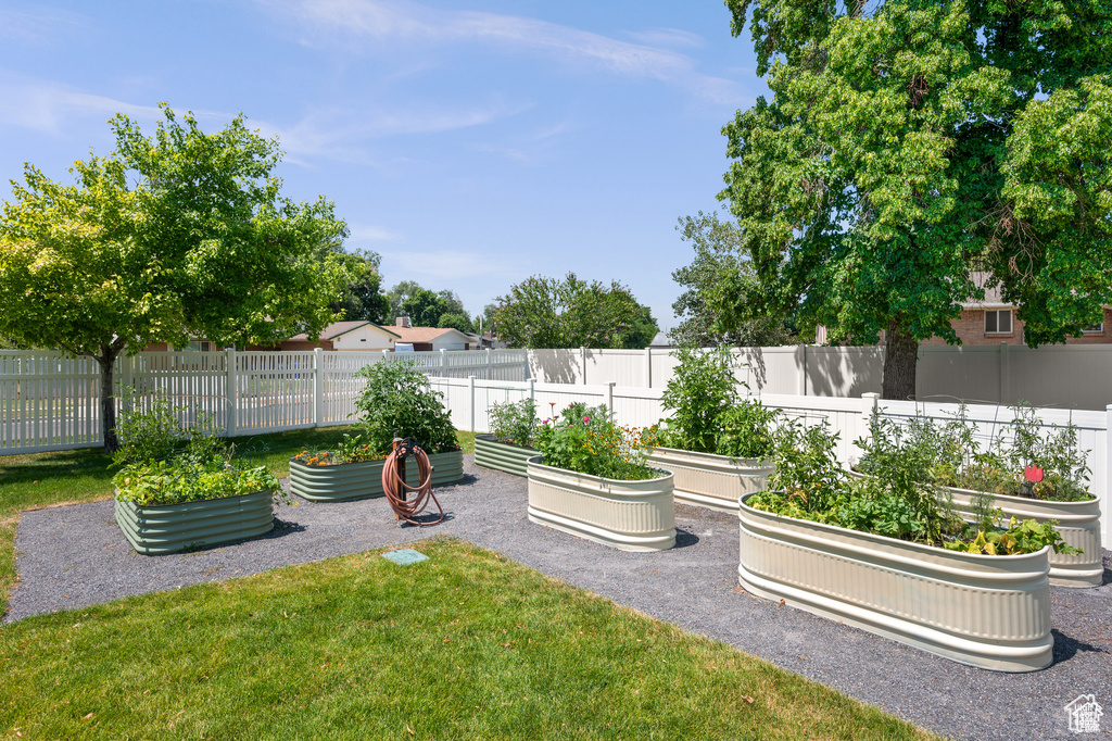 View of yard with a garden