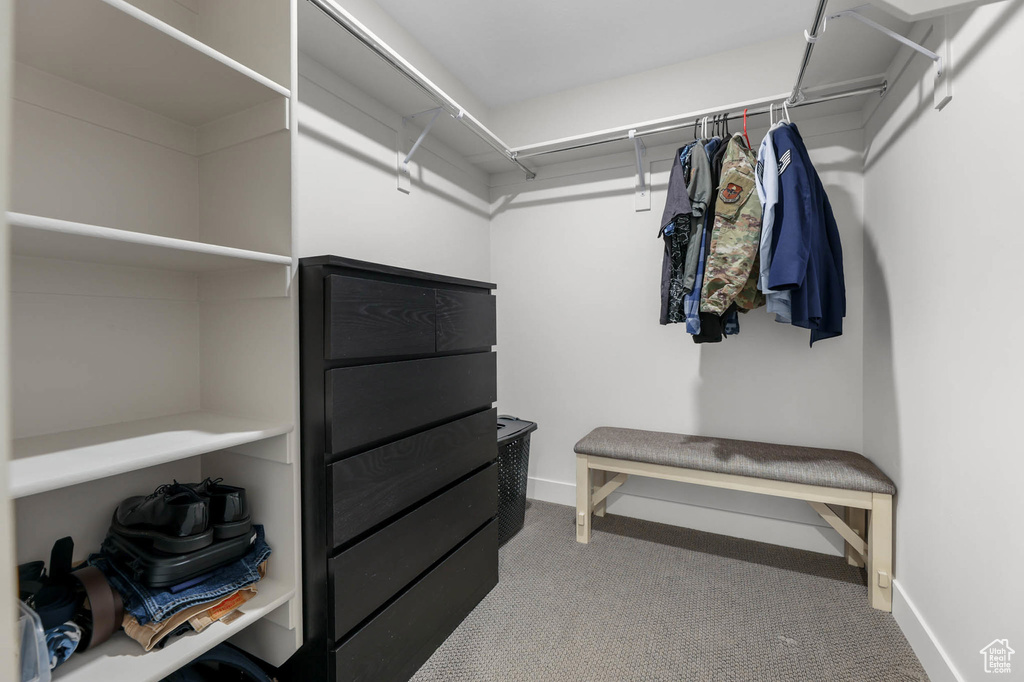 Spacious closet featuring carpet