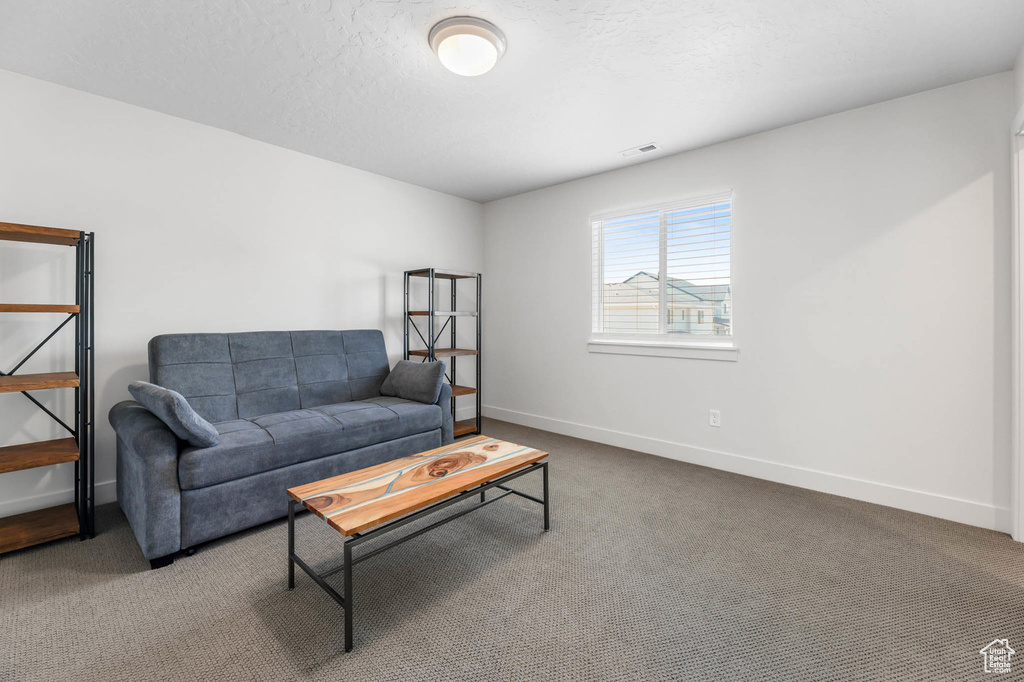 Carpeted living area with baseboards and a textured ceiling
