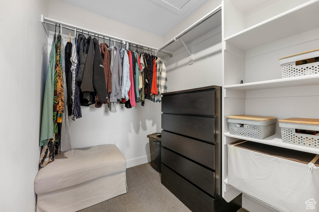 Spacious closet with carpet flooring