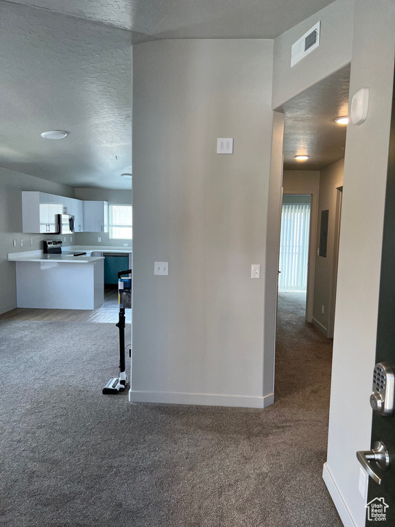Hall featuring carpet flooring, healthy amount of natural light, baseboards, and a textured ceiling