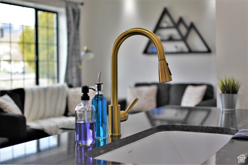 Detailed view of dark countertops and a sink