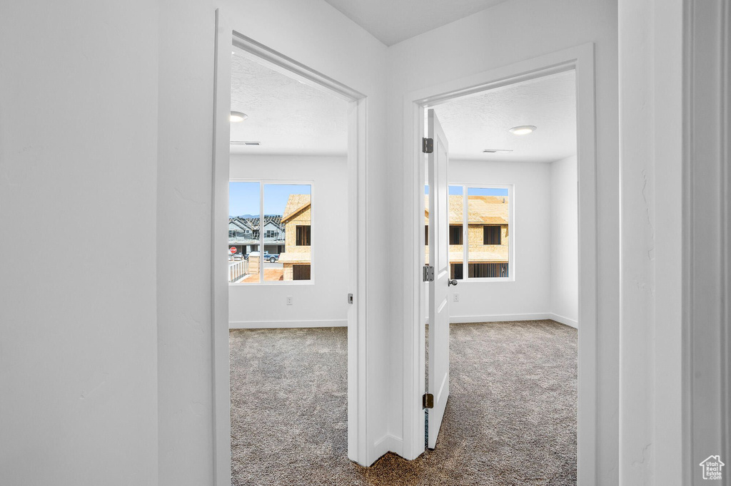 Hall with carpet, baseboards, and a textured ceiling