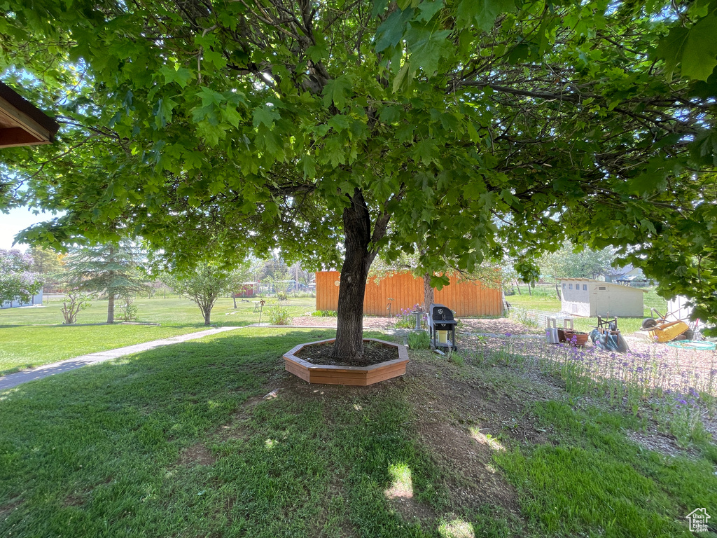 View of yard with an outdoor structure