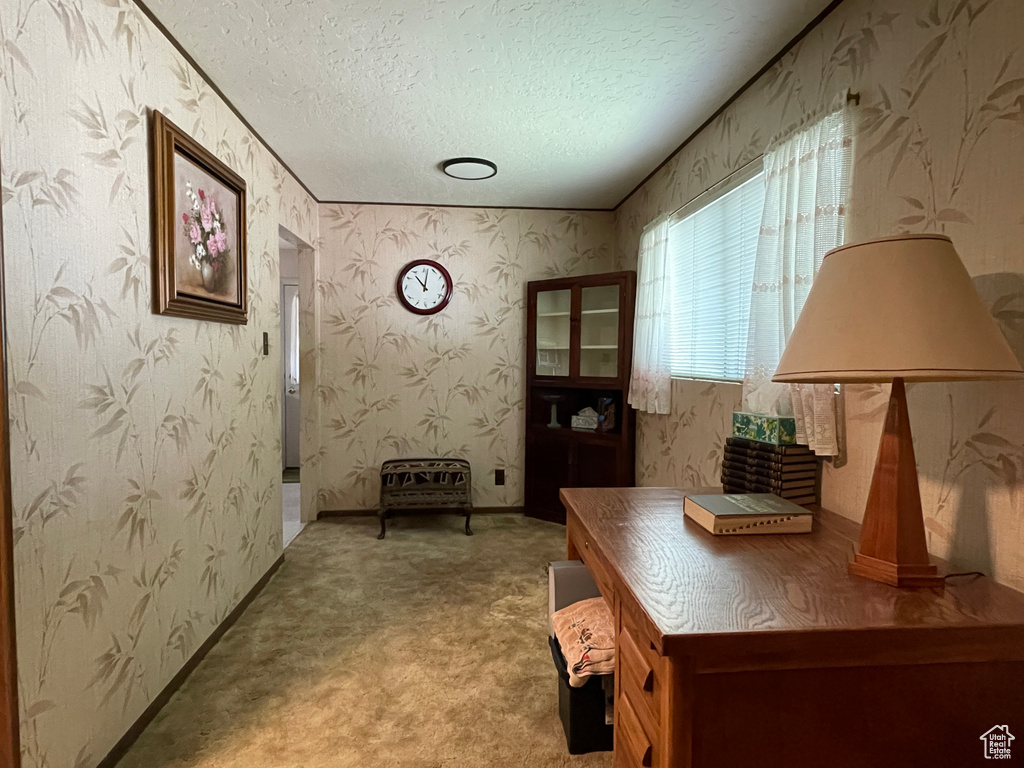 Home office with wallpapered walls, a textured ceiling, carpet floors, and baseboards