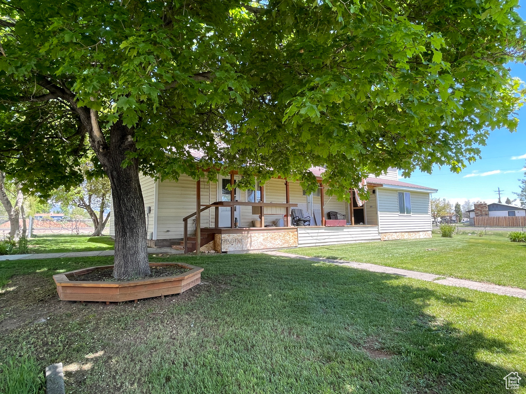 View of property hidden behind natural elements featuring covered porch and a front yard