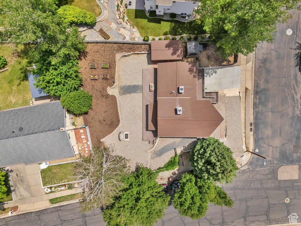 Bird\'s eye view