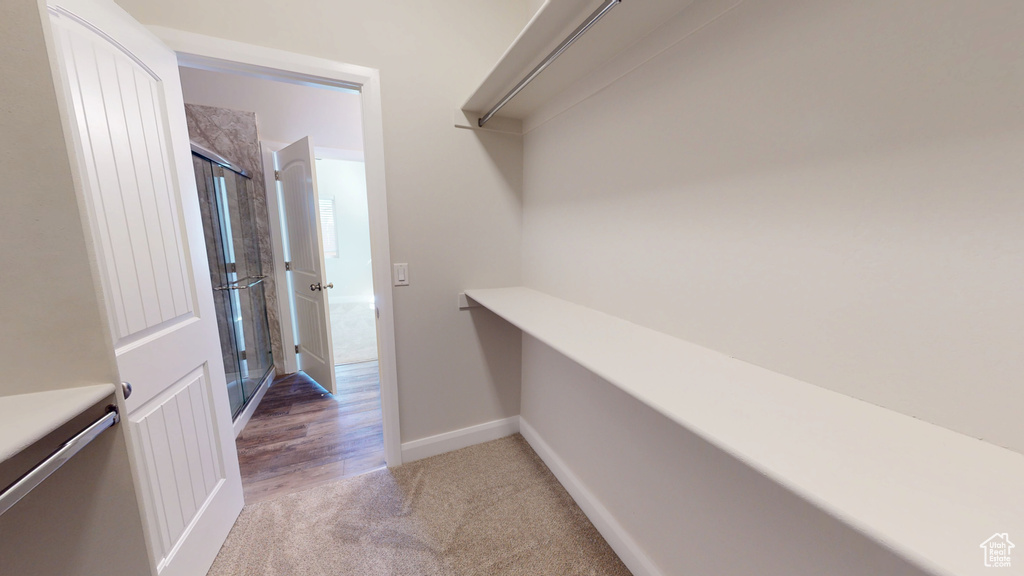 Walk in closet with light colored carpet