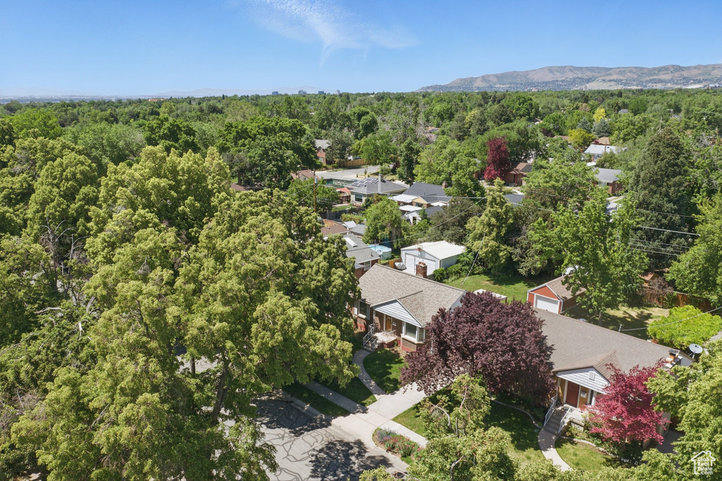 Drone / aerial view of a heavily wooded area
