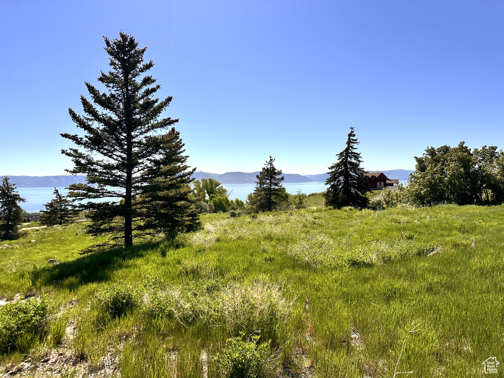 View of undeveloped land with a mountainous background
