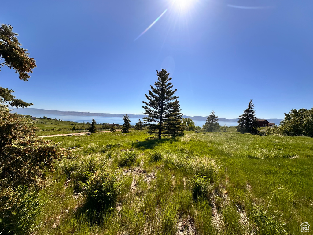 View of local wilderness with rural landscape
