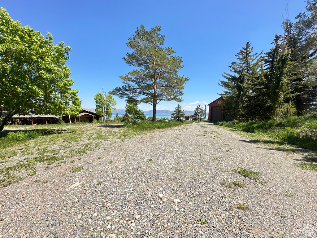 View of dirt / gravel road