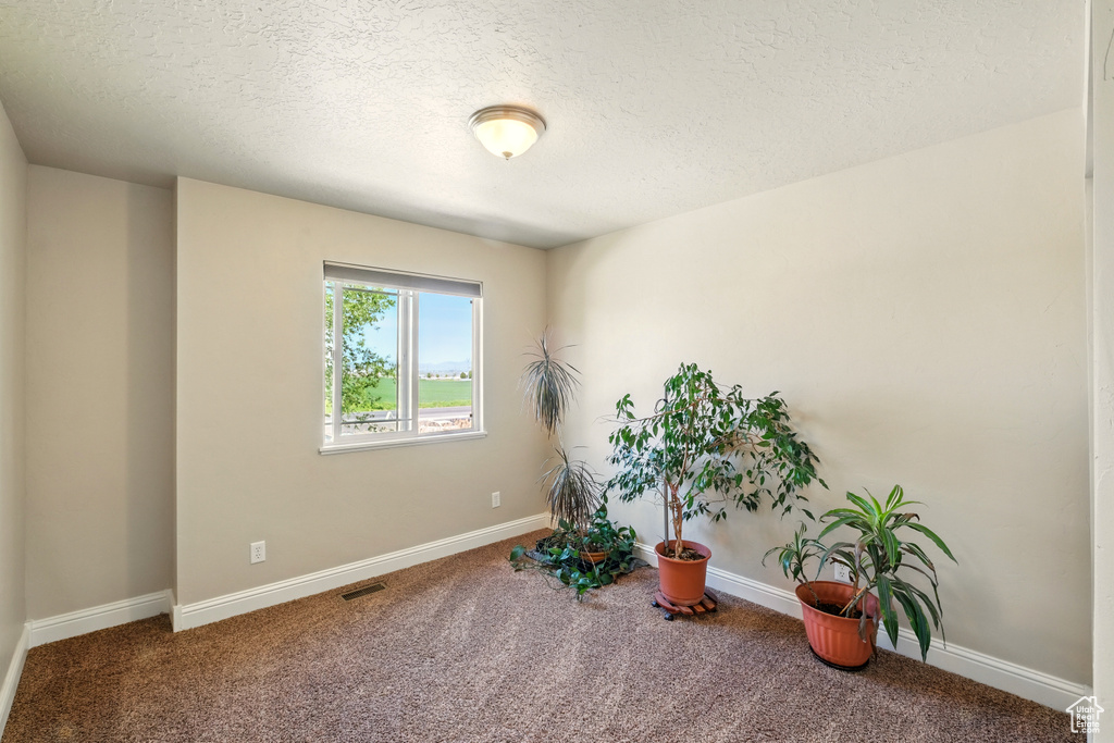 Living area with carpet flooring, a textured ceiling, and baseboards