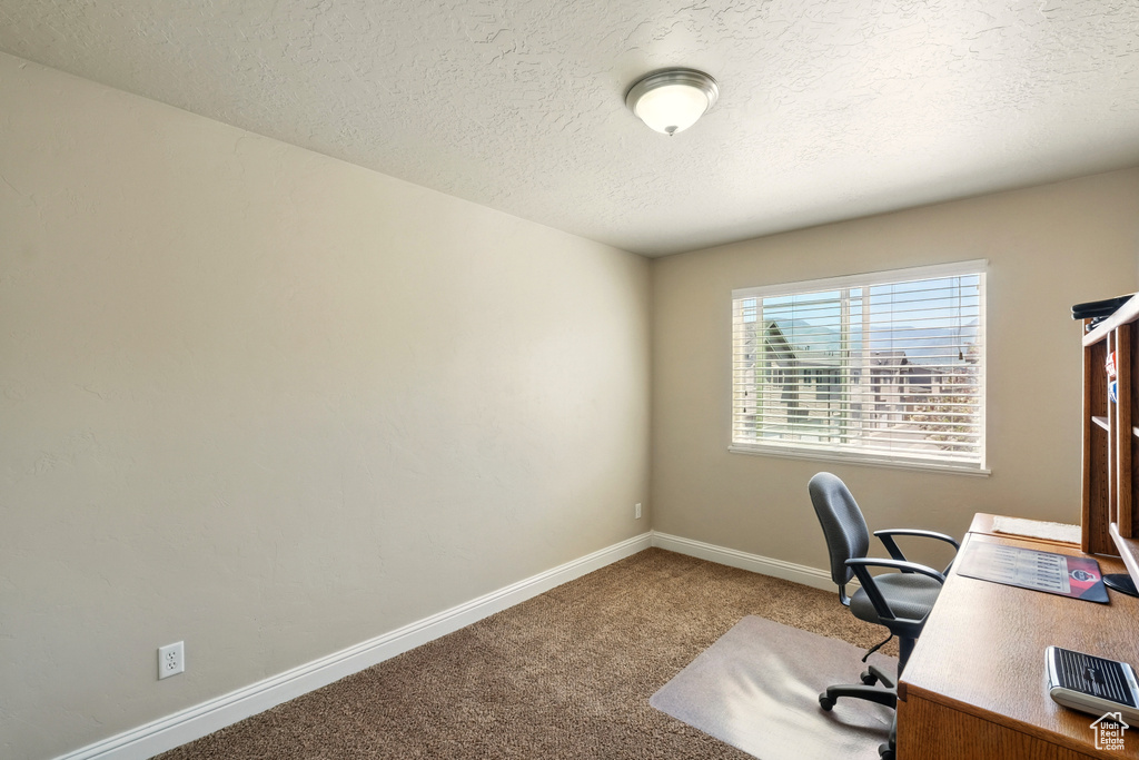 Carpeted home office with a textured ceiling and baseboards