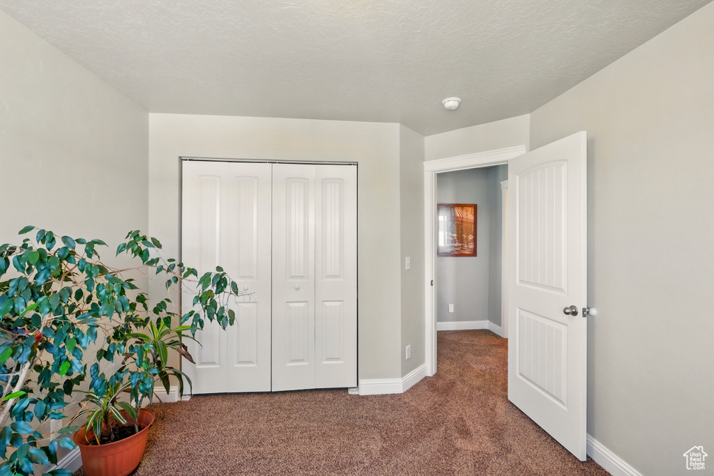 Carpeted bedroom featuring baseboards and a closet