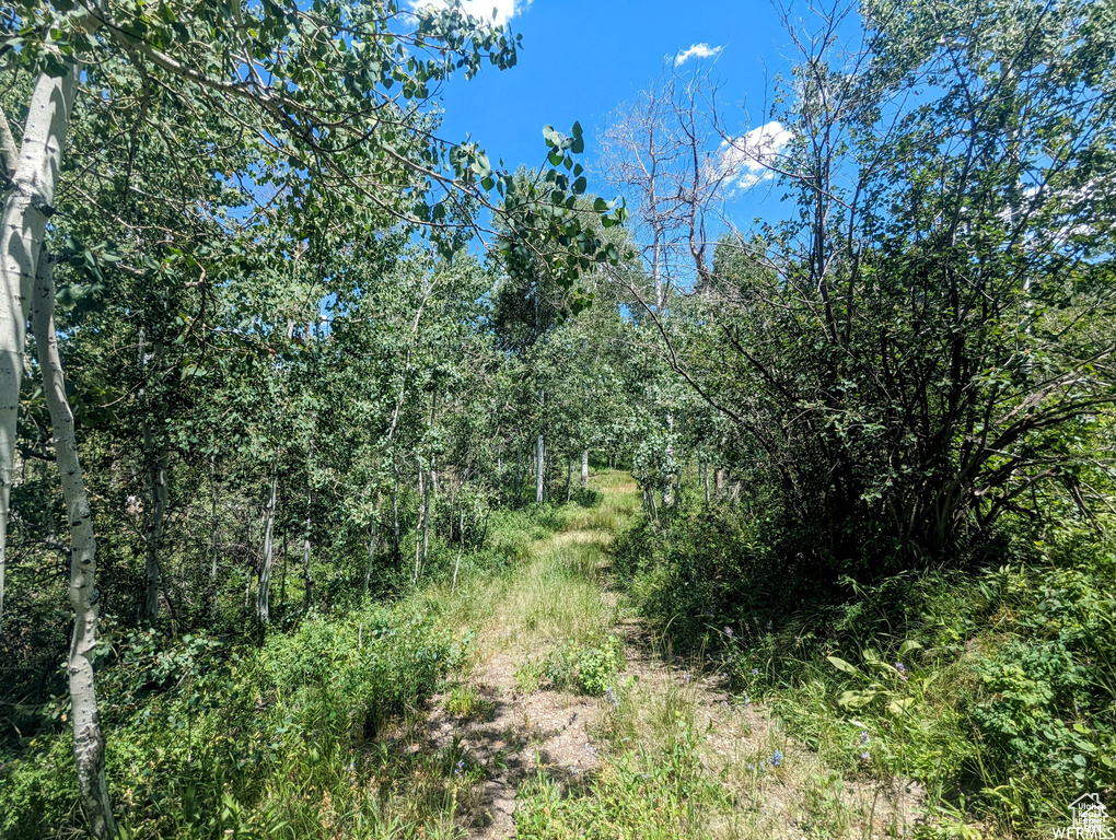 View of nature