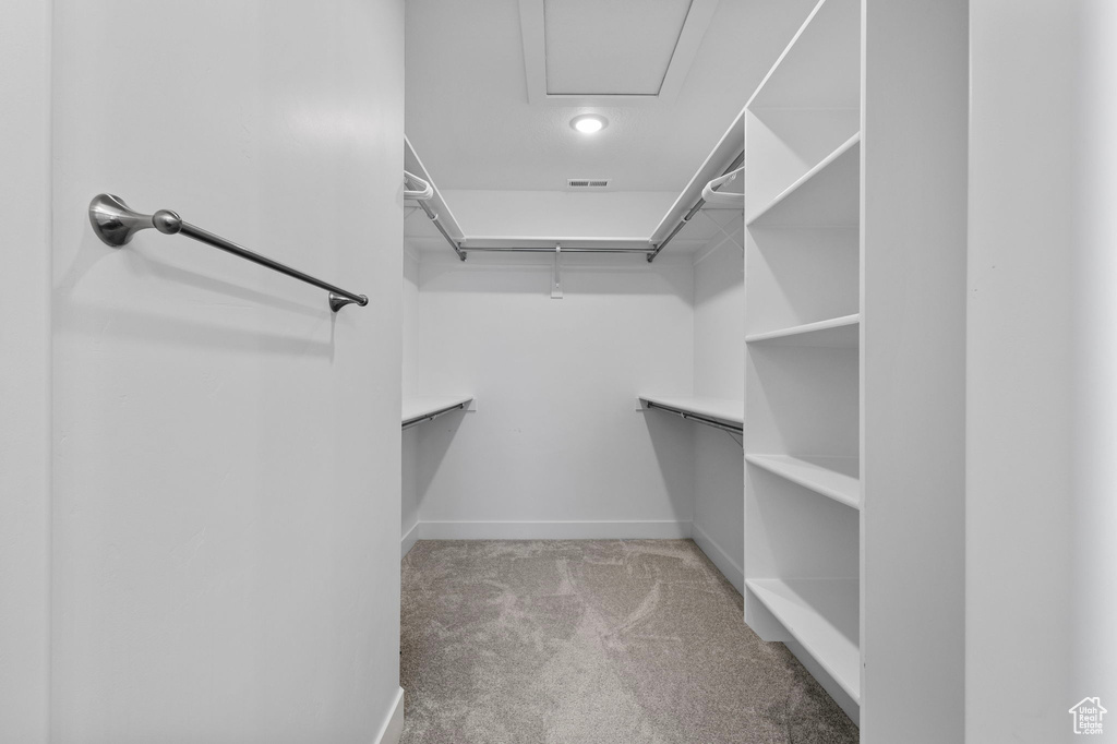Walk in closet with carpet floors