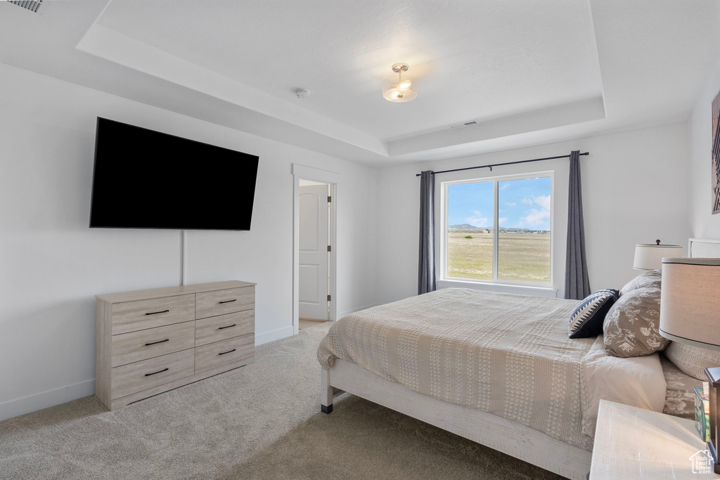 Bedroom featuring a tray ceiling, light carpet, and baseboards
