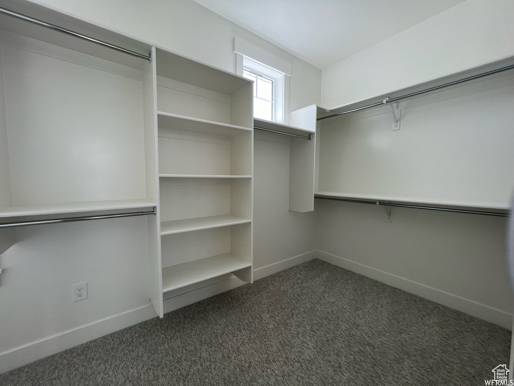 Spacious closet with dark colored carpet