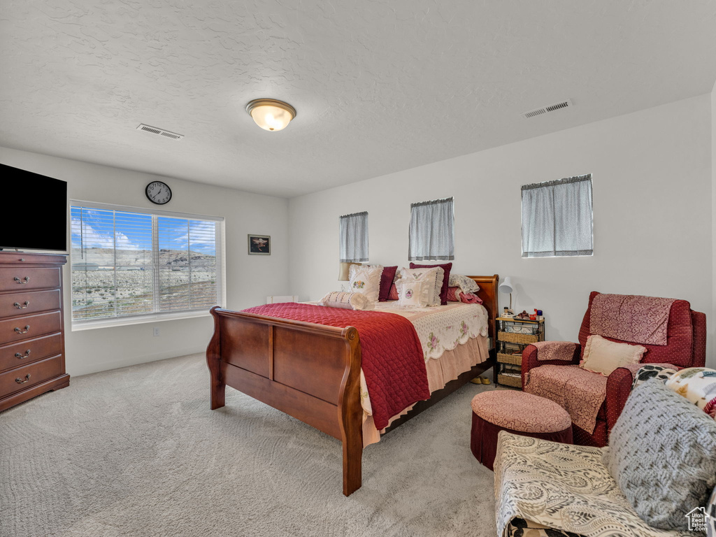 Bedroom featuring light colored carpet and a textured ceiling