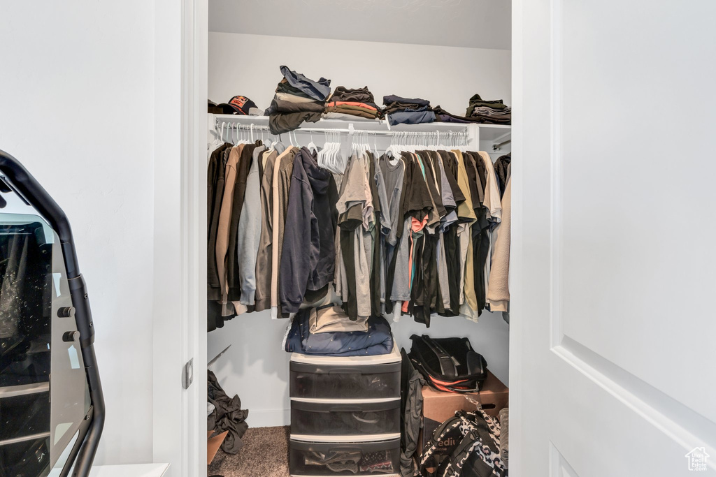 Spacious closet with carpet