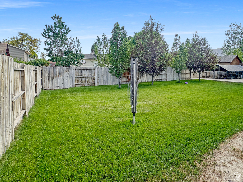 View of yard