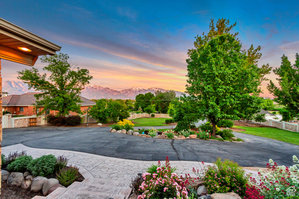 View of yard featuring a mountain view, a patio, and driveway
