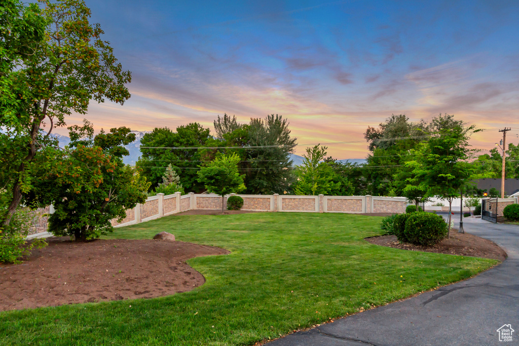 View of yard at dusk