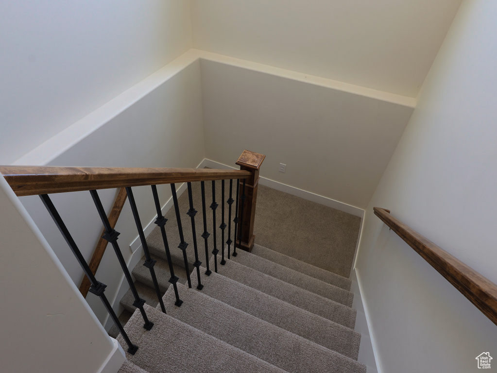 Stairway featuring carpet flooring