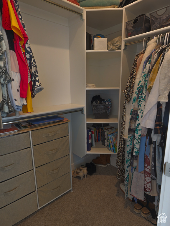 Spacious closet featuring carpet