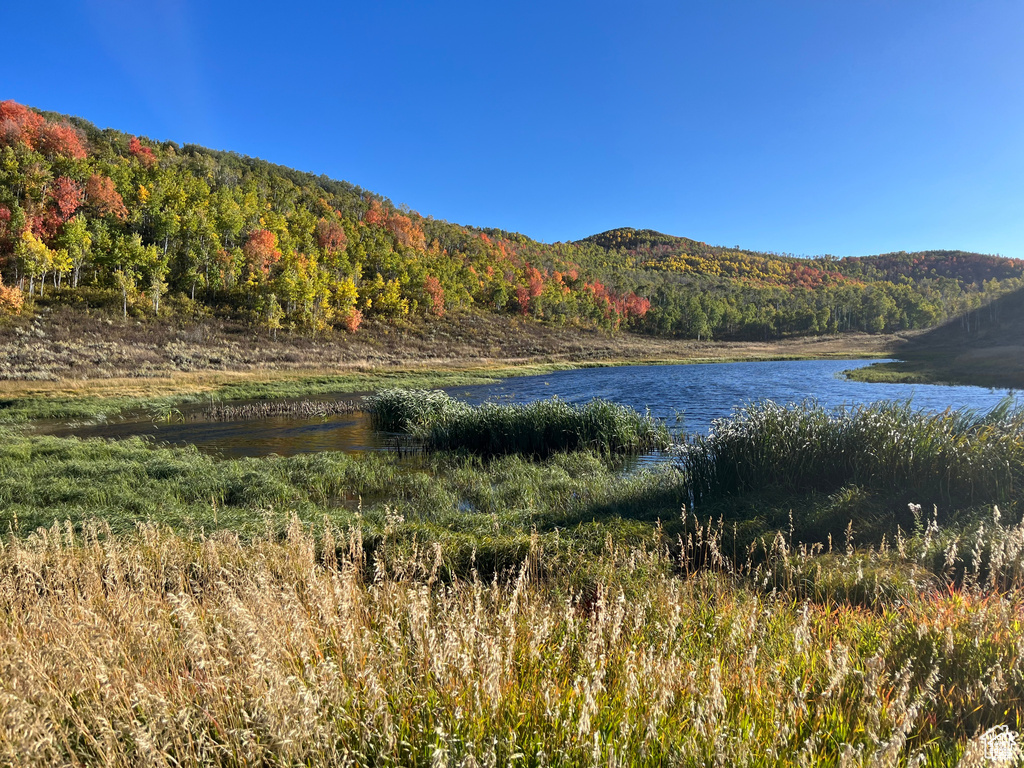Water view featuring a heavily wooded area and a mountain backdrop
