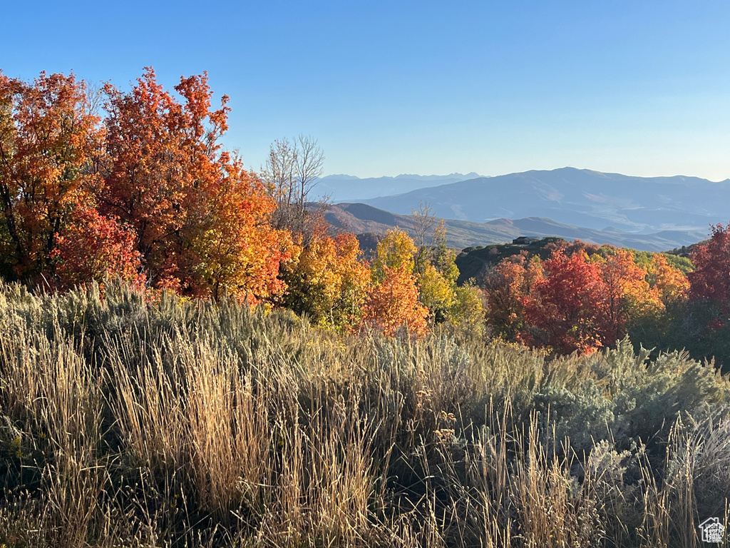 View of mountain background
