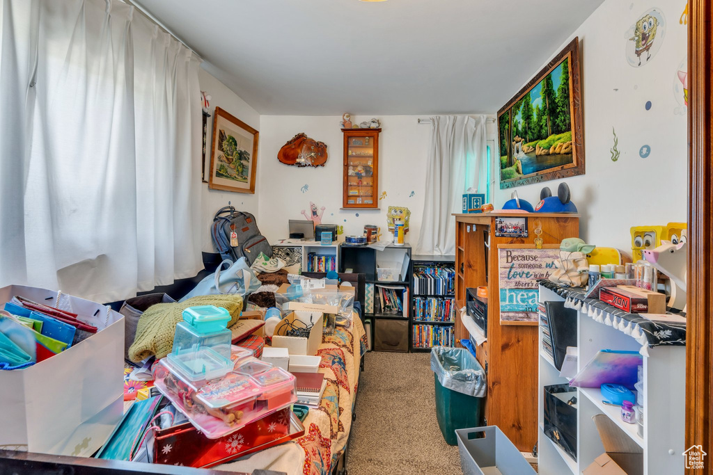 Living room featuring carpet flooring