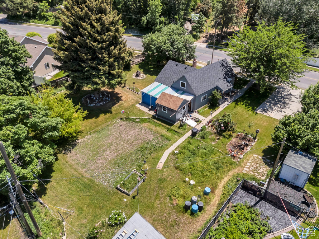 Bird\'s eye view