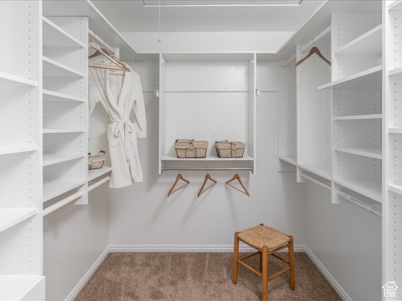 Walk in closet with carpet flooring and attic access