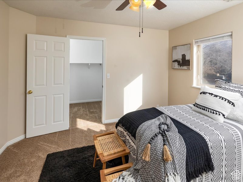 Carpeted bedroom featuring a walk in closet, a ceiling fan, and baseboards