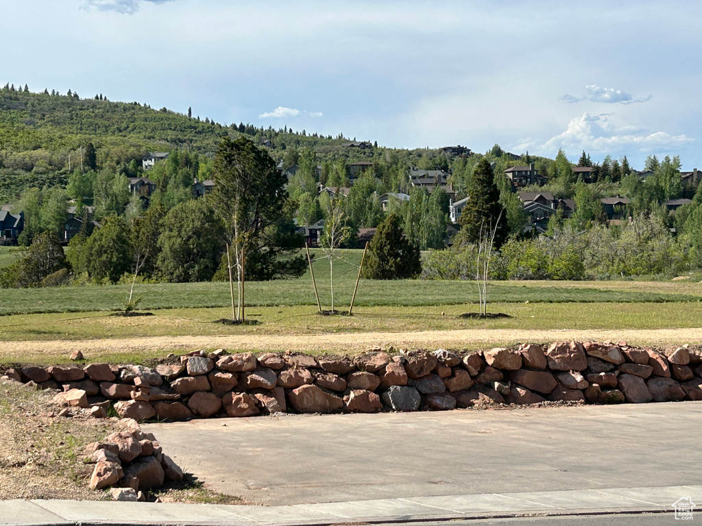 View of grassy yard with a wooded view