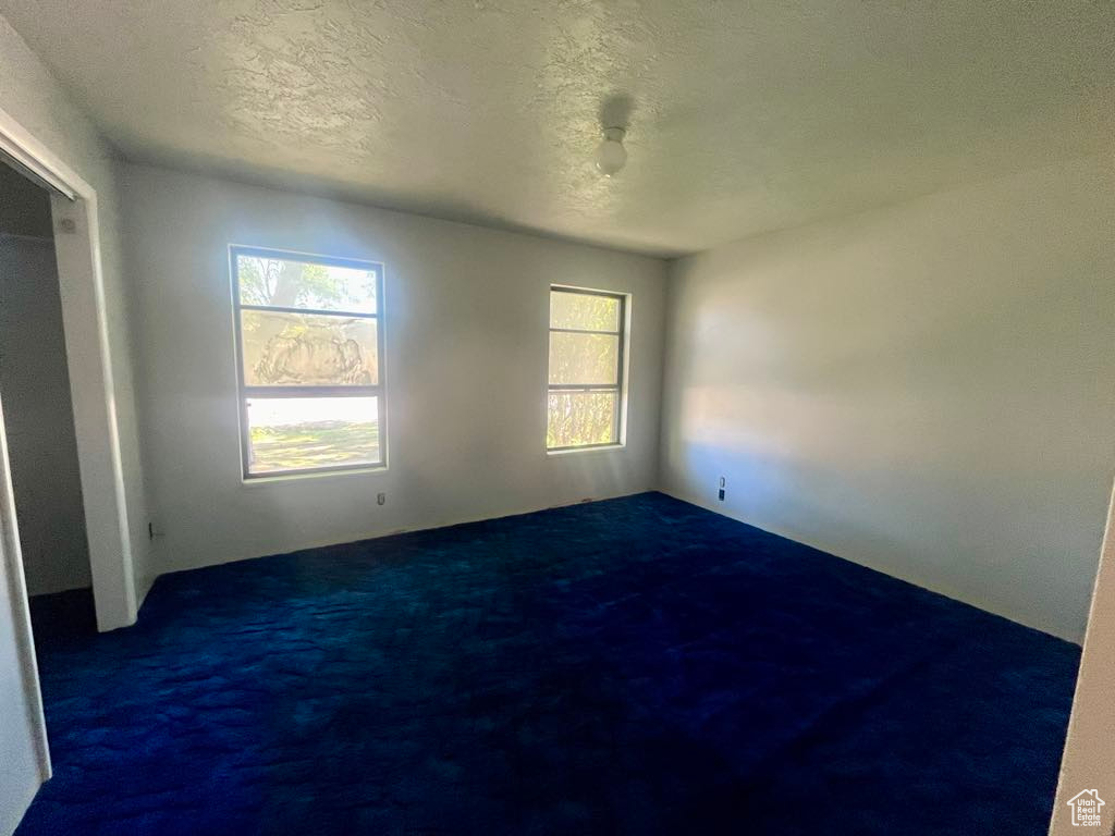Unfurnished bedroom featuring carpet flooring, multiple windows, and a textured ceiling