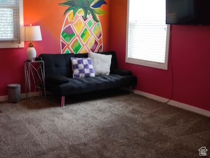 Sitting room featuring carpet flooring, a textured ceiling, and baseboards