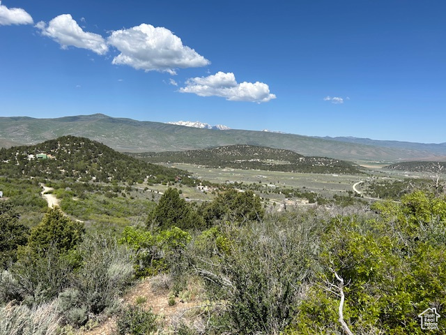 View of mountain background