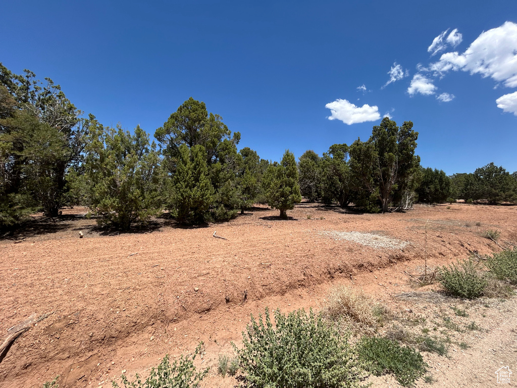 View of local wilderness featuring rural landscape