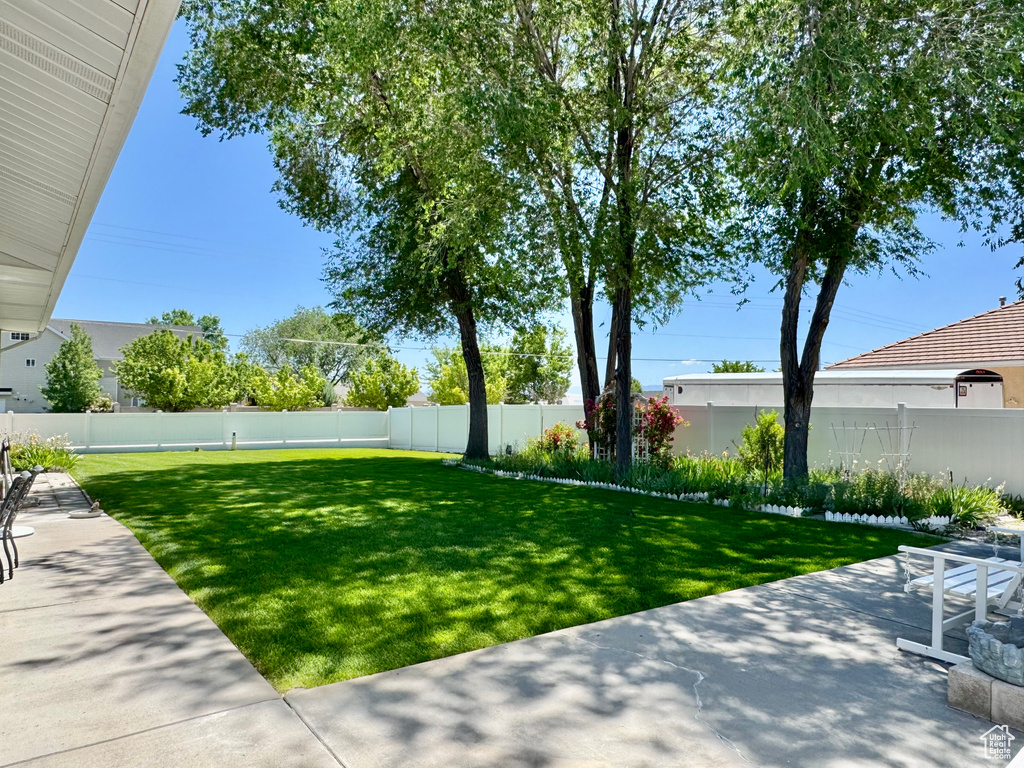 View of yard featuring a patio