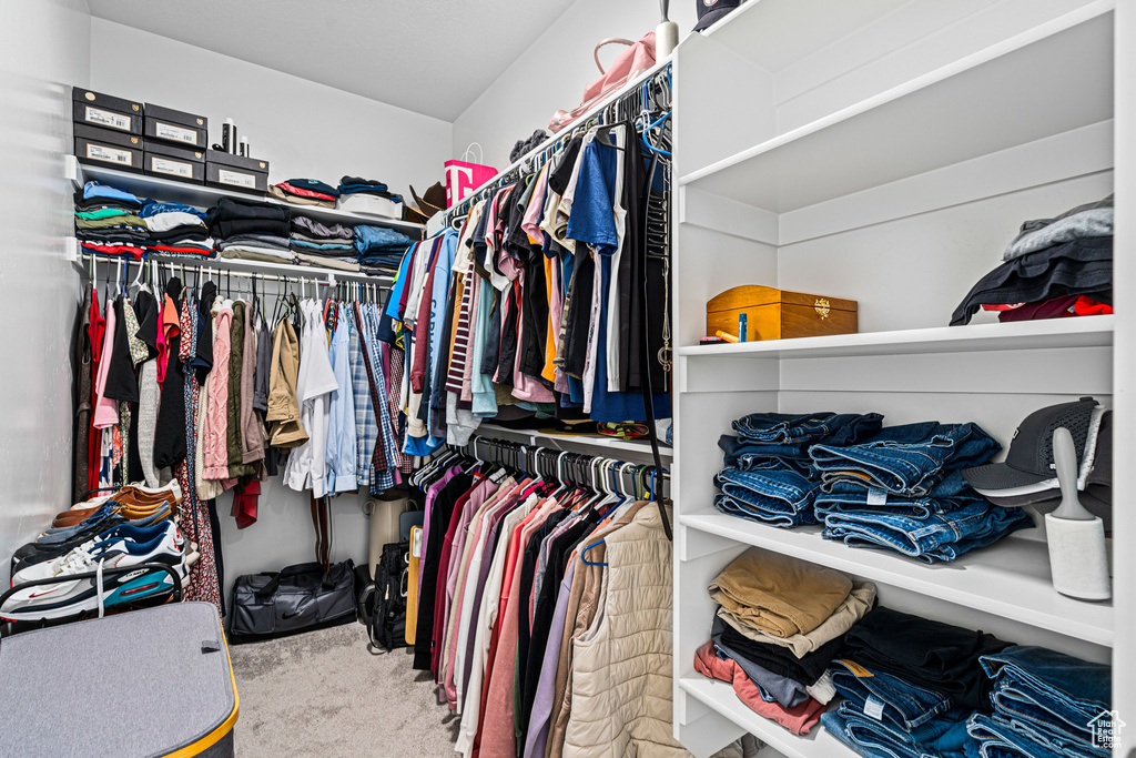 Spacious closet with carpet flooring