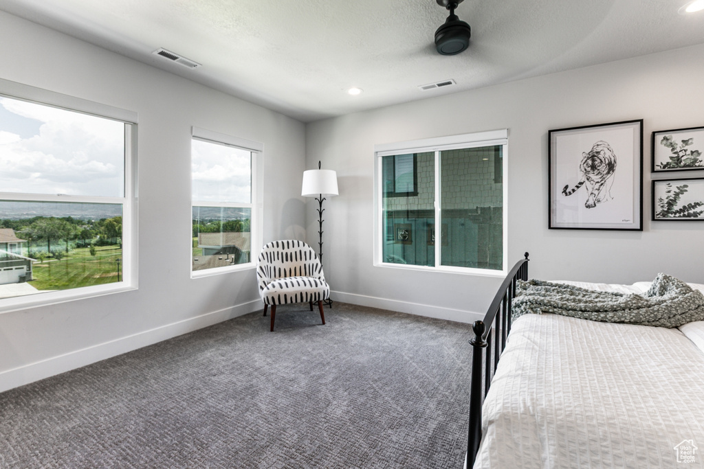 Carpeted bedroom featuring recessed lighting