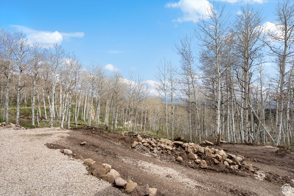 View of wooded area