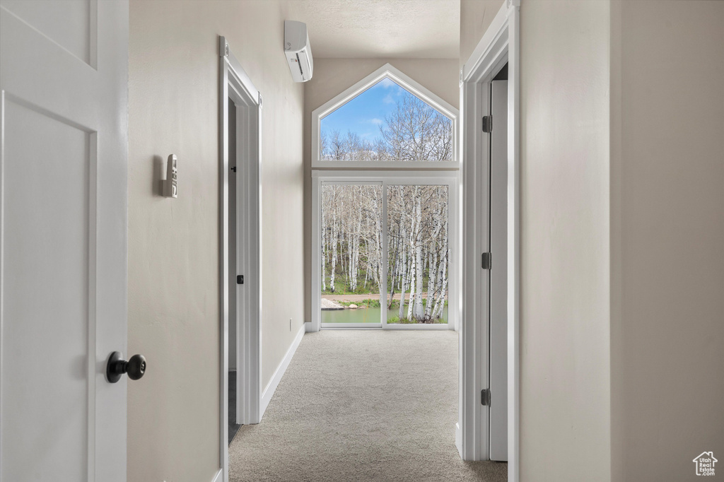 Hall with carpet flooring, plenty of natural light, and baseboards